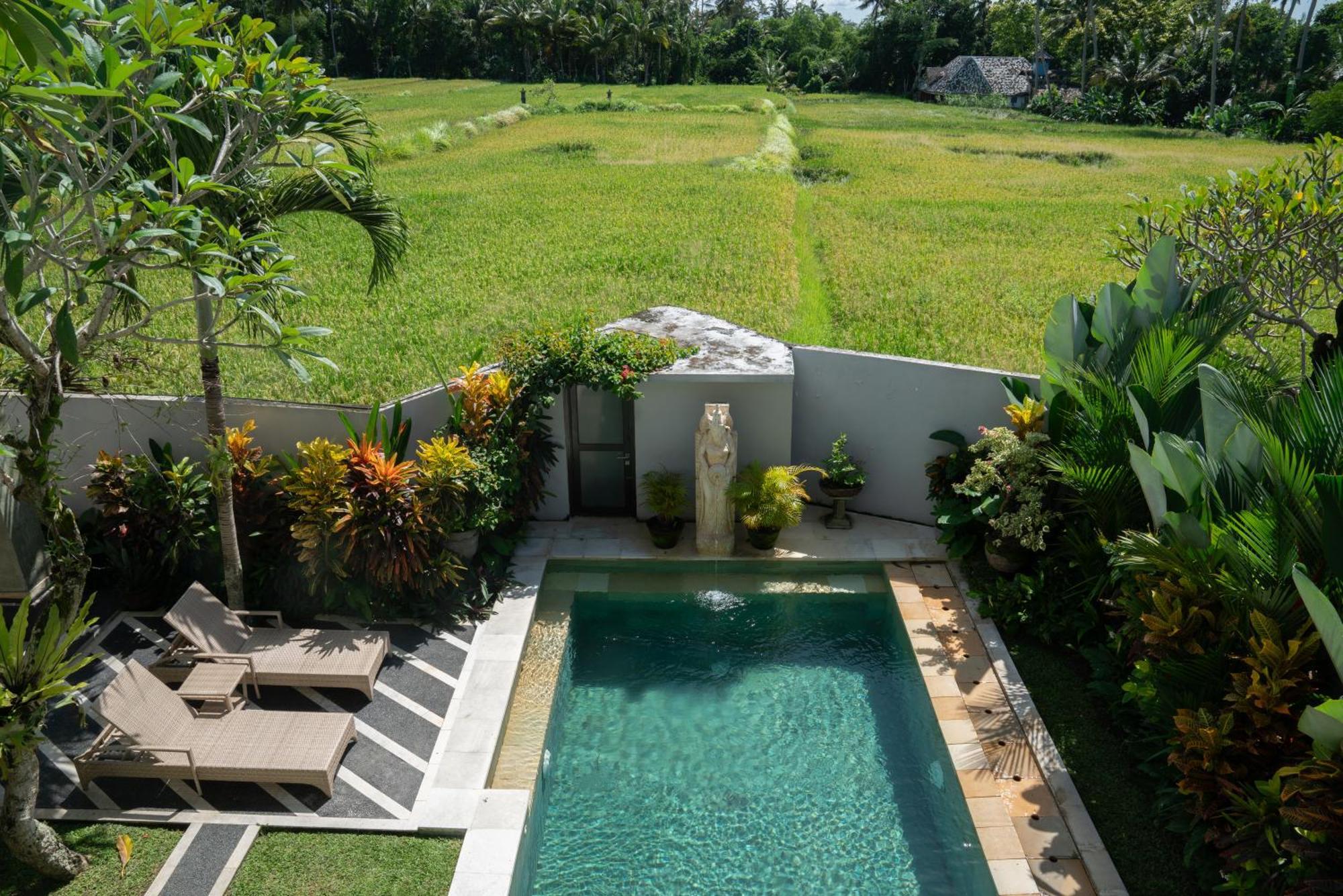 Ananditha Villa Ubud Ricefield Views Buitenkant foto